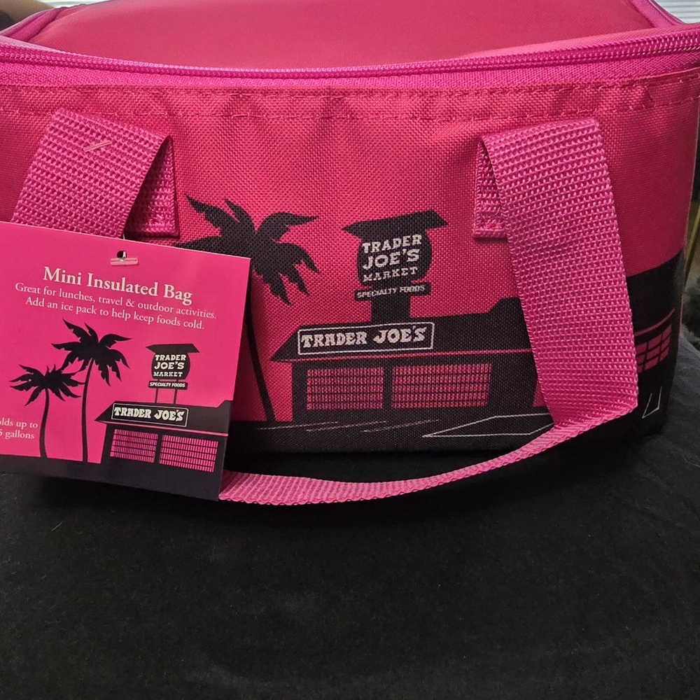 Viral TikTok Trader Joe's Insulated Lunch Tote/Mini Cooler